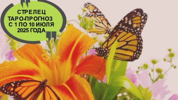 СТРЕЛЕЦ ТАРО-ПРОГНОЗ С 1 ПО 10 ИЮЛЯ 2025 ГОДА смотреть онлайн
