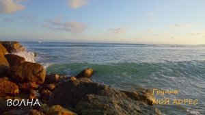 ВОЛНА (пляжная песня группы «МОЙ АДРЕС»)