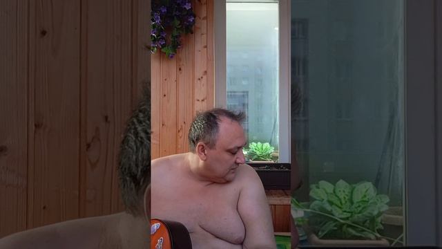 "Сквозь орешник" 🐾 смотреть онлайн