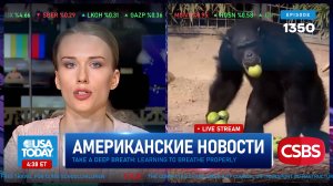 CSBSVNNQ Американские новости — выпуск #1350 от 27.06.2025