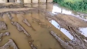 Мопеды сериал 155