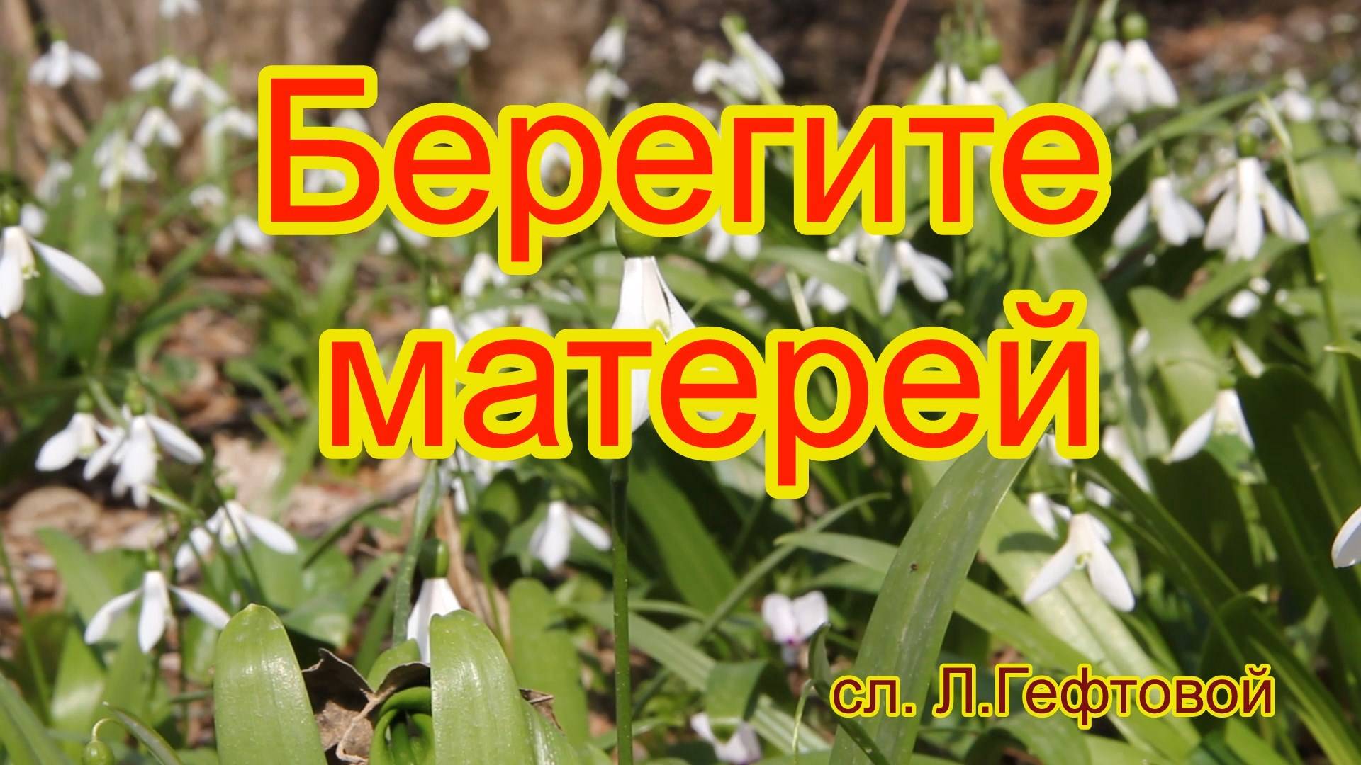 Берегите матерей. Песня