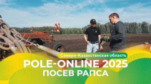Посев рапса в Северо-Казахстанской области | Pole-Online 2025 #рапс #агро #протравитель