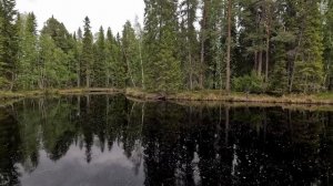 Забрались в глушь и ОБАЛДЕЛИ. На таёжной реке. РЫБАЛКА НА СПИННИНГ НА ЛЕСНОЙ РЕКЕ. Молодежь на реке