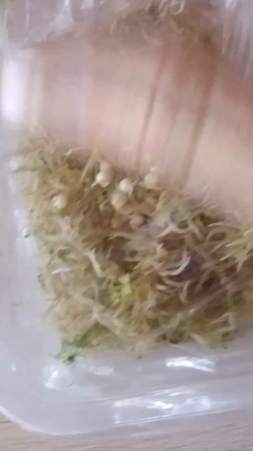 ути-пути 🎀