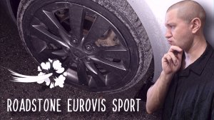 Отзыв о шинах Roadstone Eurovis Sport 04 и компании BESKAMERKA.RU