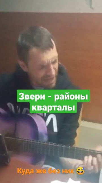 Звери - районы кварталы