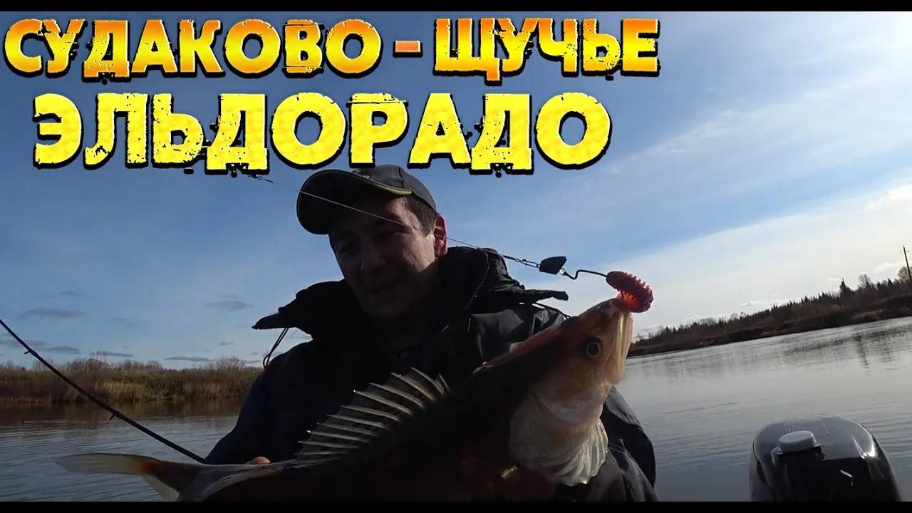 Косим ЩУКУ и СУДАКА. Силиконовые приманки с алиэкспресс косят щуку. Силикон на судака с алиэкспресс