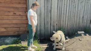 Папа Ромы не вернулся с СВО