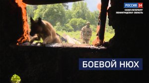 ВЕСТИ 24 Санкт-Петербург от 27.06.2025