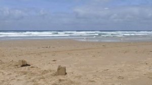 "@" Rodrigo. Concierto Aranjuez Part II. Играет Тадеуш Конопко, аккордеон.