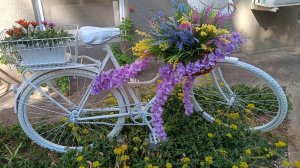 Я БУДУ ДОЛГО ГНАТЬ ВЕЛОСИПЕД🚴🚲🚵!