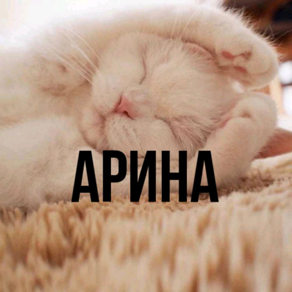 Я на красной поляне чек в Сочи смотреть онлайн