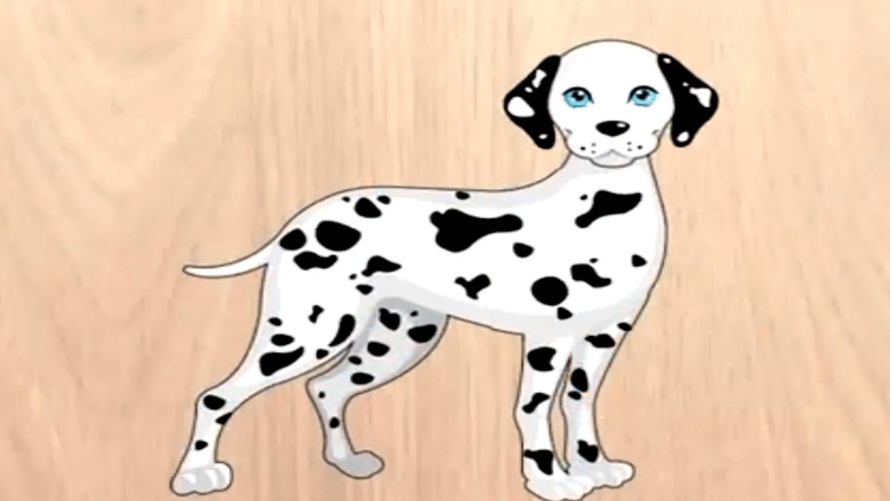 Развивающие мультики для детей - пазлы - УЧИМ ЖИВОТНЫХ - МУЛЬТФИЛЬМ