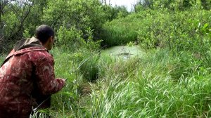 Рыбалка на поплавок  в бобровых запрудах на ручье и что там  ловится?