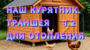 КАК СДЕЛАТЬ КУРЯТНИК СВОИМИ РУКАМИ ДЛЯ НЕСУШЕК - ч.2