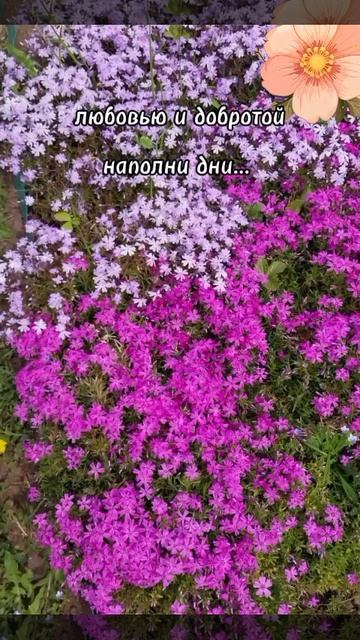 Доброе утро☀ 🌝⏰ смотреть онлайн