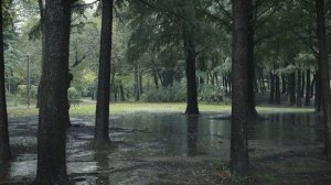 Звуки дождя для облегчения бессонницы и для глубокого сна, ASMR Relax