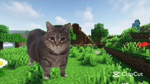 калм 1 уиа 1час (почти)