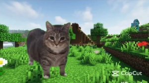 калм 1 уиа 1час (почти)