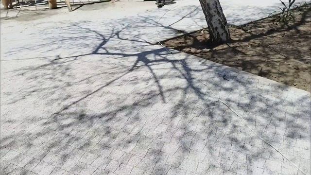 Новая площадка?