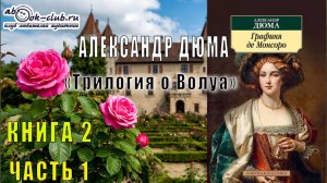 Александр Дюма «Графиня де Монсоро» (часть 1)