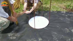 🌿 Плетёная беседка из сортовой ивы. Полная версия (10.06.2025)