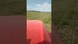 пахота