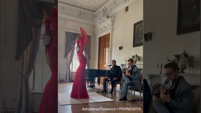 Alegrias Flamenco.mp4