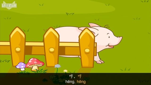 Что это за животное? смотреть онлайн