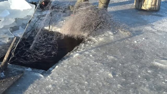 ✔️ В ГОСТЯХ У ДЯДИ ТОЛИ. ТРУДОВАЯ РЫБАЛКА смотреть онлайн