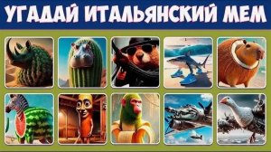 МЕМ! ОПРОС ПРО ИТАЛЬЯНСКИХ МЕМ ЖИВОТНЫХ