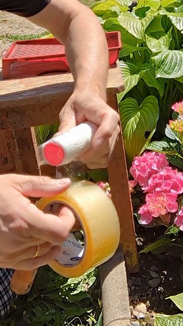 Обязательно сделайте это перед окрашиванием смотреть онлайн