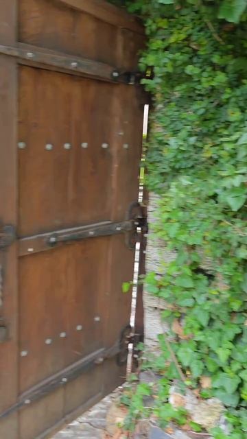 очень зеленый сад уголок фитофантазия в Сочи #Сочи #фитофантазия смотреть онлайн