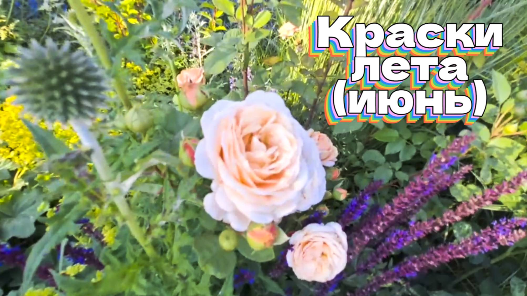 Краски лета (июнь) смотреть онлайн