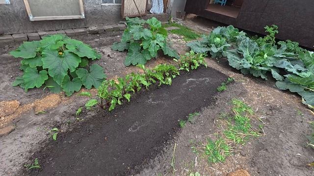 Сперва ждём, потом раздаем, жизнь на земле смотреть онлайн