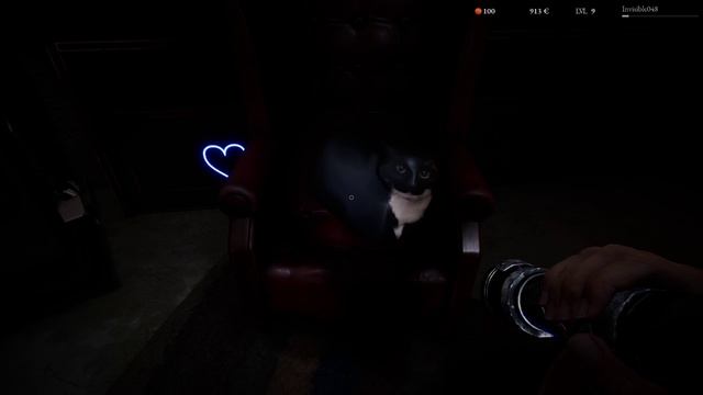 Projectunknown музыкальный кот)