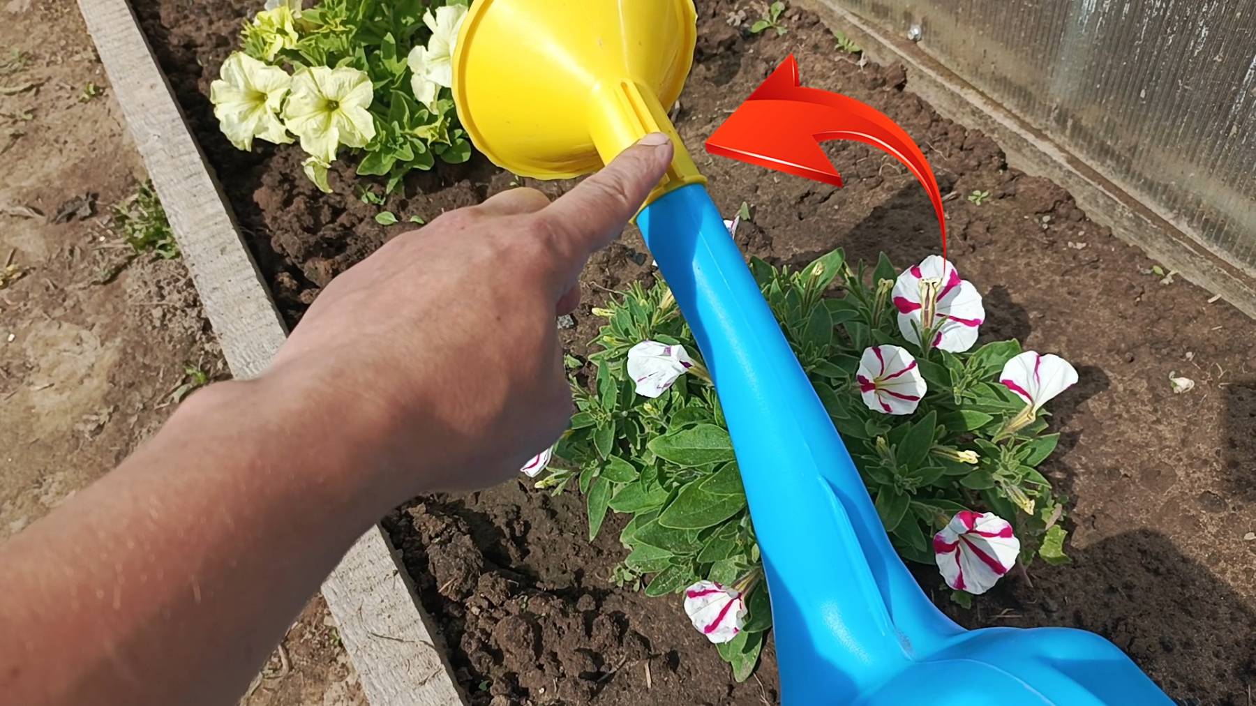 Как непотерять носик от лейки. Лайфхак!!! смотреть онлайн