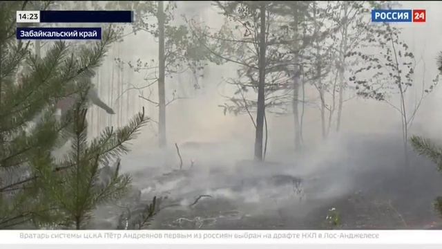 Россия 24, Москва, 28 июня 2025
Природные пожары в Забайкальском крае смотреть онлайн