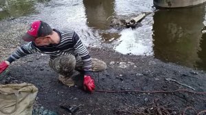 Открытие сезона 2024 Поисковый магнит