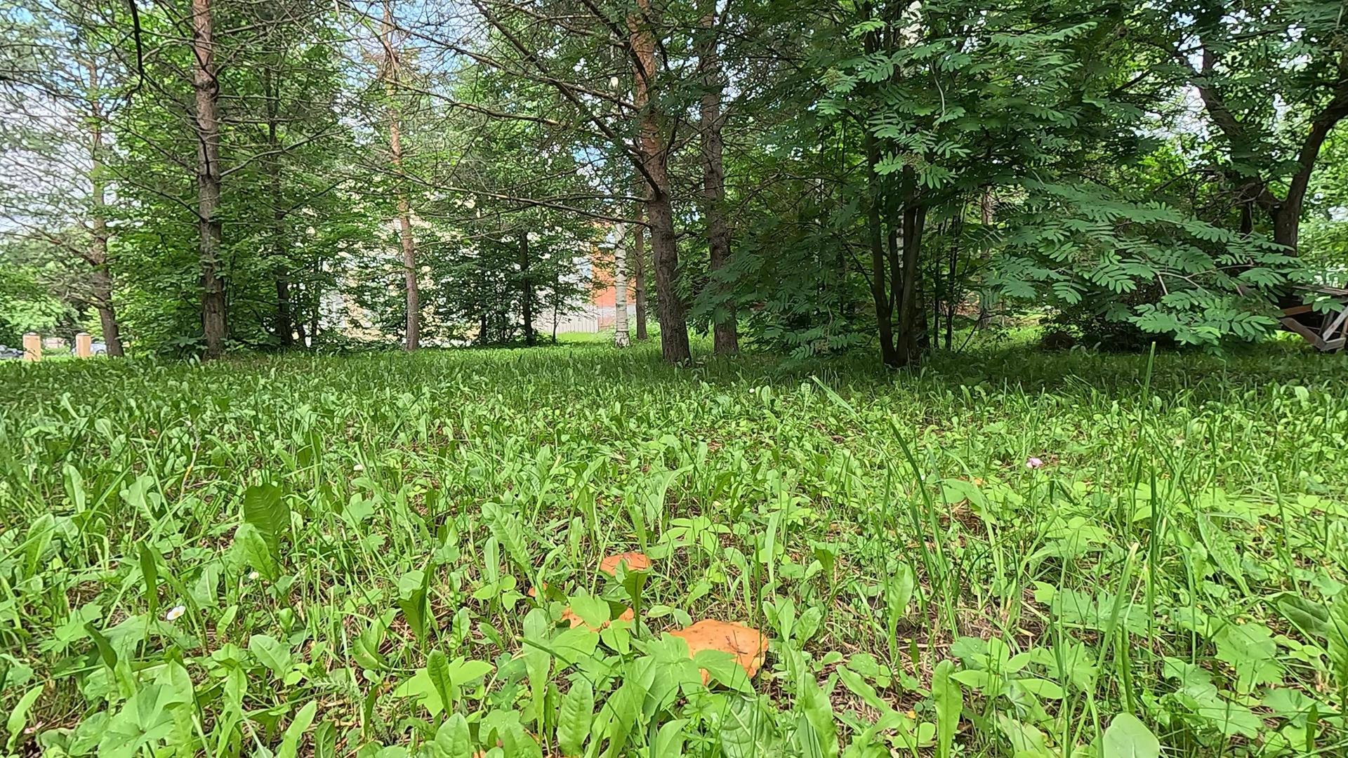 г. Тотьма интересная встреча. всем хорошего дня. смотреть онлайн