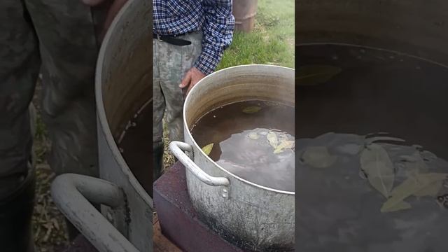 Тайга и дядя Толя. Моменты таежного счастья. смотреть онлайн