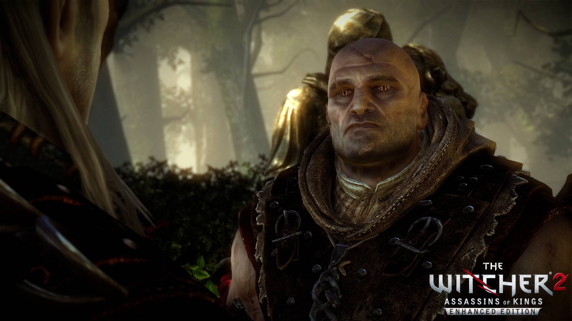 #10 Встреча с Лето (молчаливое прохождение) - Ведьмак 2: Убийцы королей смотреть онлайн