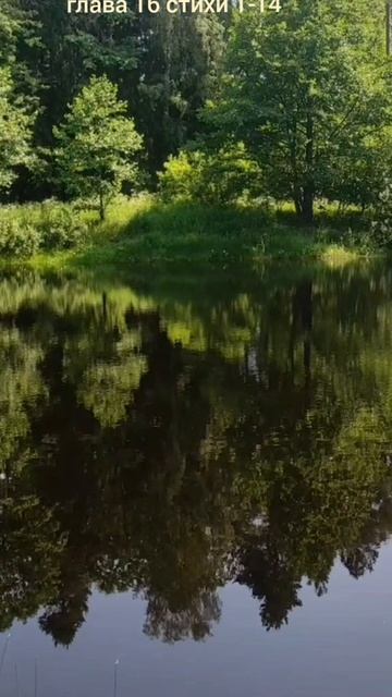 (66) Евангелие от Иоанна глава 16 стих 1-14 смотреть онлайн