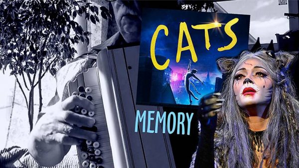 Cats, Memory _на баяне