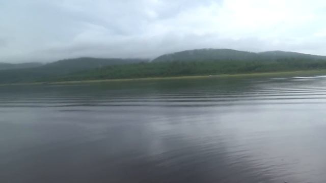 ТАМ, ГДЕ ЖИВЕТ КОСАТКА. КАК СЛОЖИТЬ ШИПЫ И УДАЛИТЬ СЛИЗЬ. смотреть онлайн