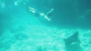 Трейлер🤣.Красное море. Шарм-эш-Шейх. Шаркс-Бей. Май 2025