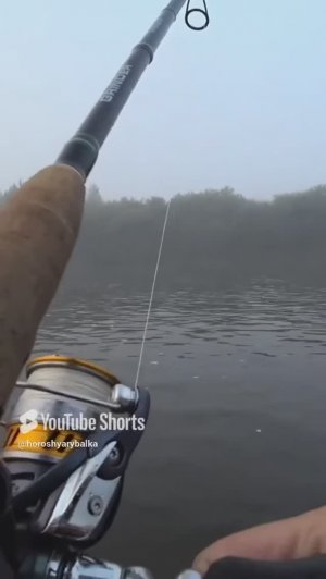 Из какого региона смотрите?