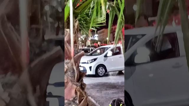 Свадьбы в Алжире и днём и ночью) #algerie #setif #travel #жизньвалжире #سطيف