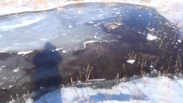 ПЕРВЫЙ В ЖИЗНИ ТАЙМЕНЬ ЭДУАРДА, рыбалка без понтов, блюда из рыбы, хоть и Шельма, а любит и ждет смотреть онлайн